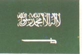 世界國旗-沙烏地阿拉伯.jpg