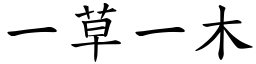 一草一木 (楷體矢量字庫)