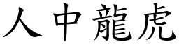 人中龍虎 (楷體矢量字庫)