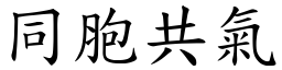 同胞共氣 (楷體矢量字庫)