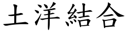 土洋結合 (楷體矢量字庫)