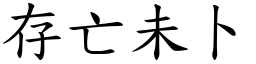 存亡未卜 (楷體矢量字庫)