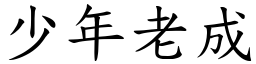 少年老成 (楷體矢量字庫)