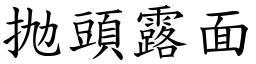 抛頭露面 (楷體矢量字庫)