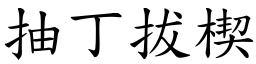 抽丁拔楔 (楷體矢量字庫)