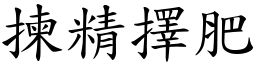 揀精擇肥 (楷體矢量字庫)