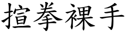 揎拳裸手 (楷體矢量字庫)
