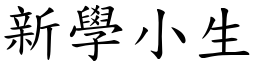 新學小生 (楷體矢量字庫)