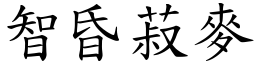 智昏菽麥 (楷體矢量字庫)
