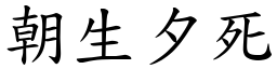 朝生夕死 (楷體矢量字庫)