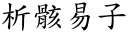 析骸易子 (楷體矢量字庫)