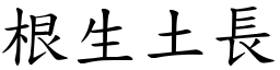 根生土長 (楷體矢量字庫)