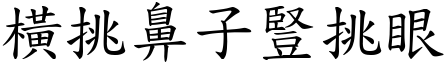 橫挑鼻子豎挑眼 (楷體矢量字庫)
