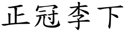 正冠李下 (楷體矢量字庫)