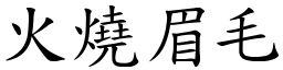 火燒眉毛 (楷體矢量字庫)