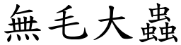 無毛大蟲 (楷體矢量字庫)