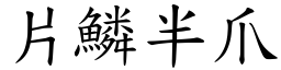 片鱗半爪 (楷體矢量字庫)