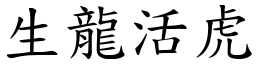 生龍活虎 (楷體矢量字庫)
