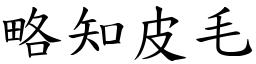 略知皮毛 (楷體矢量字庫)