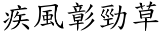 疾風彰勁草 (楷體矢量字庫)