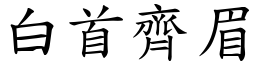 白首齊眉 (楷體矢量字庫)