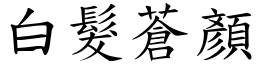 白髮蒼顏 (楷體矢量字庫)