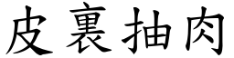皮裏抽肉 (楷體矢量字庫)