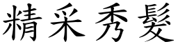 精采秀髮 (楷體矢量字庫)