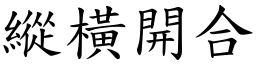 縱橫開合 (楷體矢量字庫)