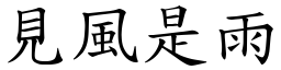 見風是雨 (楷體矢量字庫)