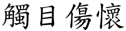 觸目傷懷 (楷體矢量字庫)