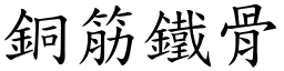 銅筋鐵骨 (楷體矢量字庫)