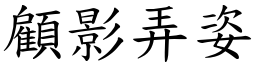 顧影弄姿 (楷體矢量字庫)