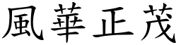 風華正茂 (楷體矢量字庫)