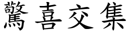驚喜交集 (楷體矢量字庫)
