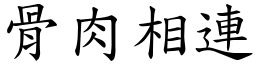 骨肉相連 (楷體矢量字庫)