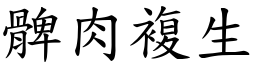 髀肉複生 (楷體矢量字庫)