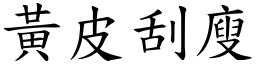 黃皮刮廋 (楷體矢量字庫)