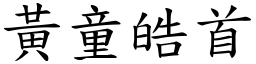 黃童皓首 (楷體矢量字庫)