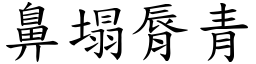鼻塌脣青 (楷體矢量字庫)