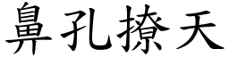 鼻孔撩天 (楷體矢量字庫)