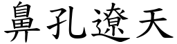 鼻孔遼天 (楷體矢量字庫)