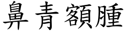 鼻青額腫 (楷體矢量字庫)