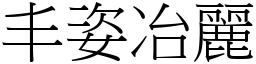 丰姿冶麗 (宋體矢量字庫)