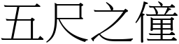 五尺之僮 (宋體矢量字庫)