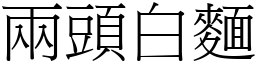 兩頭白麵 (宋體矢量字庫)