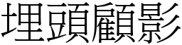 埋頭顧影 (宋體矢量字庫)