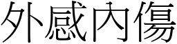 外感內傷 (宋體矢量字庫)