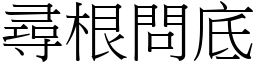 尋根問底 (宋體矢量字庫)