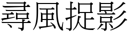 尋風捉影 (宋體矢量字庫)